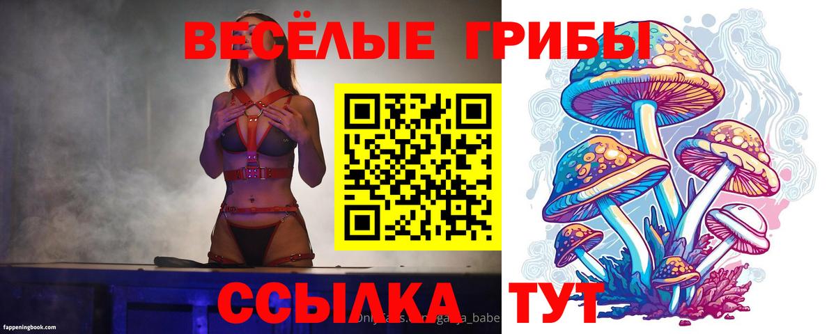 где продают   Галлюциногенные грибы Psilocybe  Вход с VPN  Приморско-Ахтарск  Галлюциногенные грибы Psilocybine cubensis 